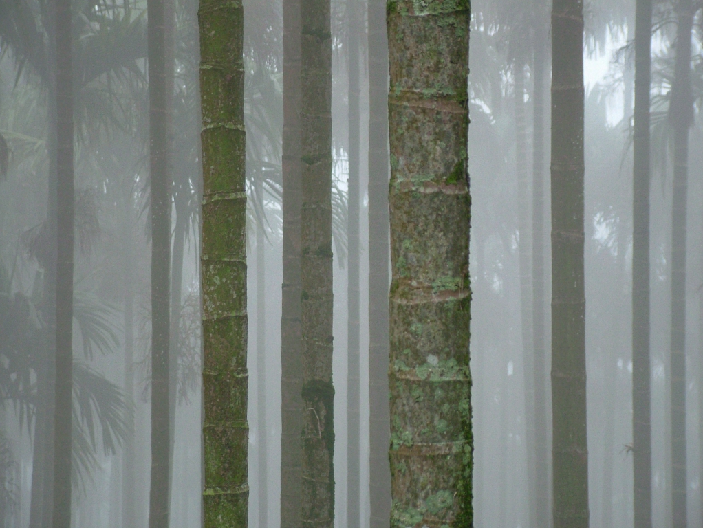 DSCF5173.png