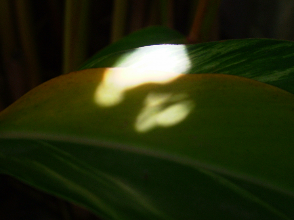 dscf5291