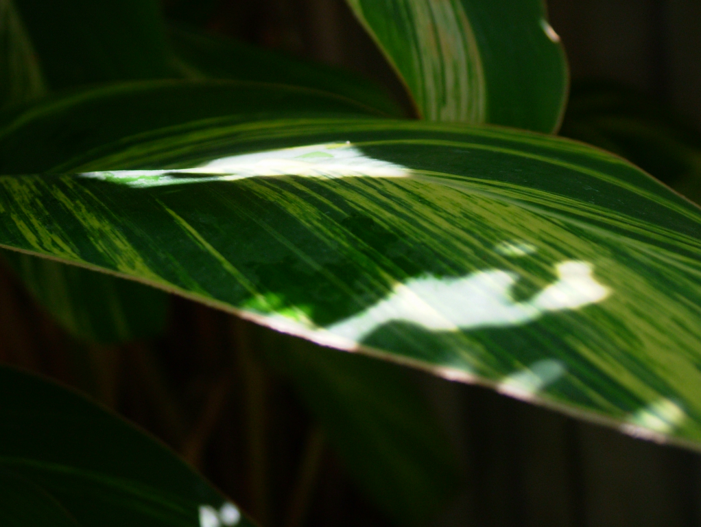 dscf5291-1