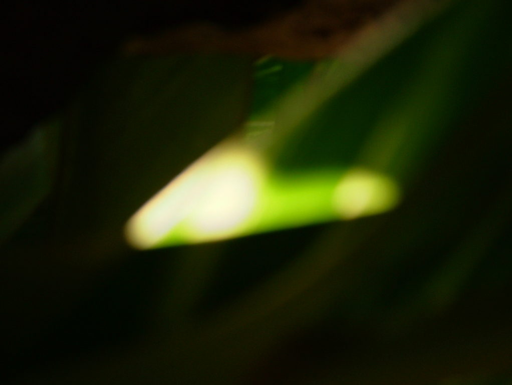 006 DSCF5983