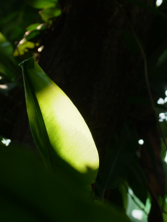004 DSCF5785