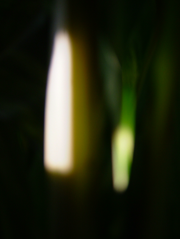 001 DSCF5985