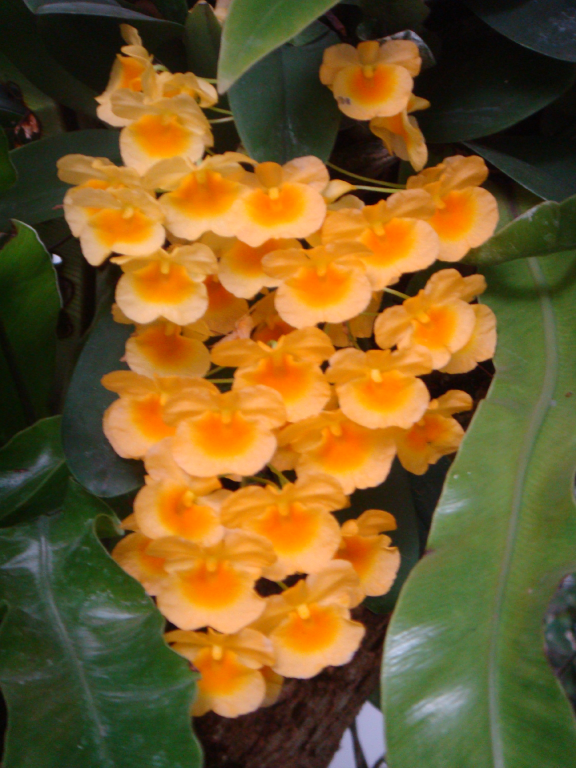010 DSC00021