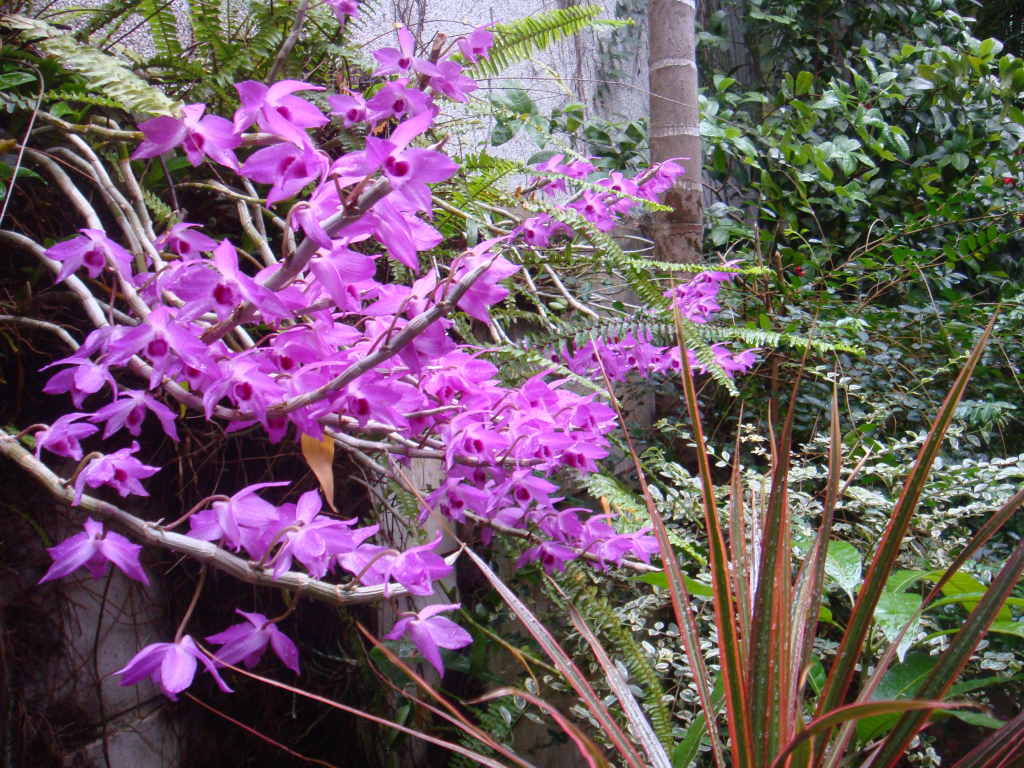 009 DSC00019