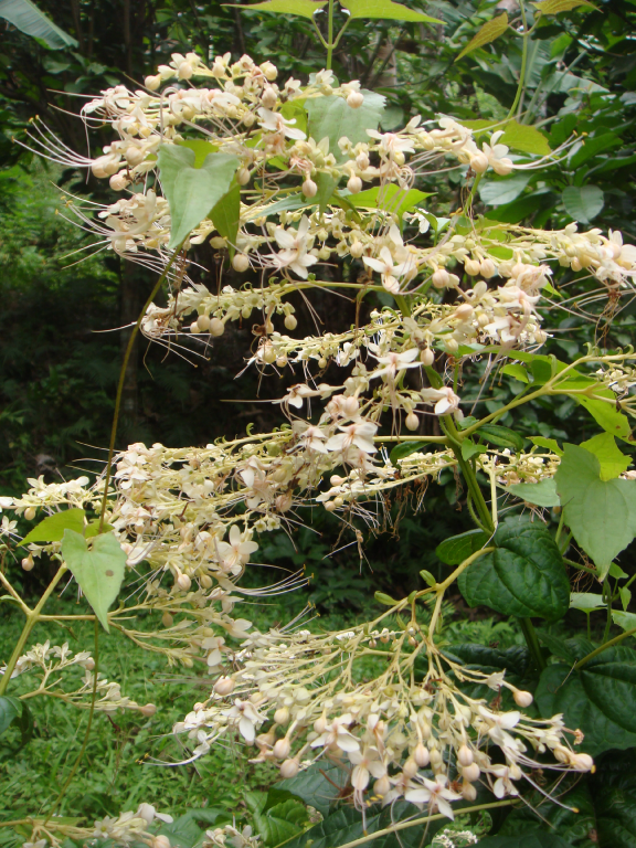 003 DSC00015