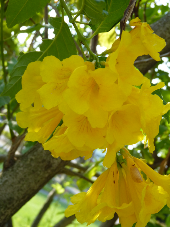 001 DSC00012