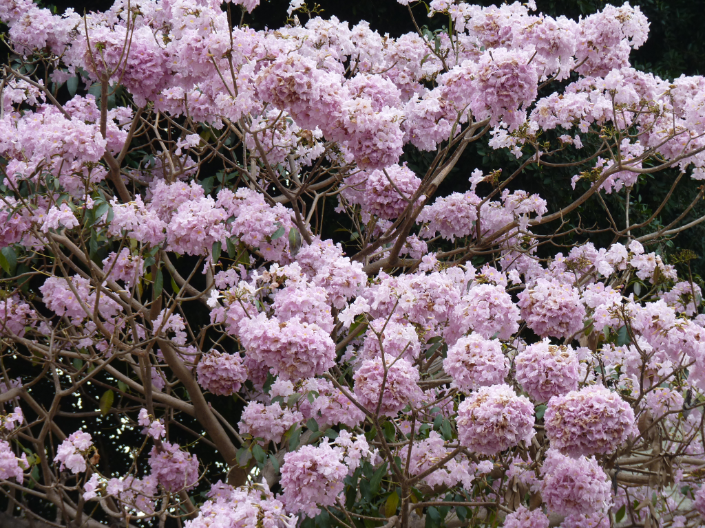 002 DSC00013
