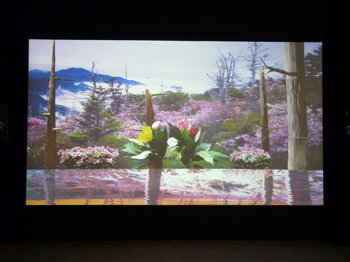 164-1 Yeondoo Jung cinemagician 2010 55minutes Performance at Marry hallin Seoul as a part of festival bom