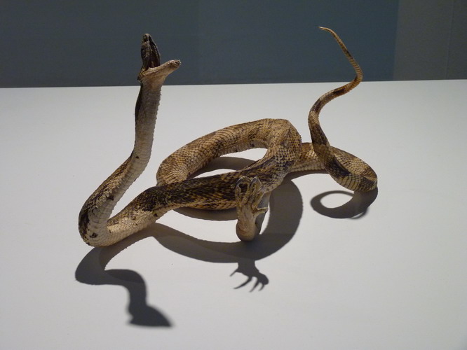 102 Charles Avery Sans titre Les serpent a un bras 2009 25x33x24cm _縮小大小