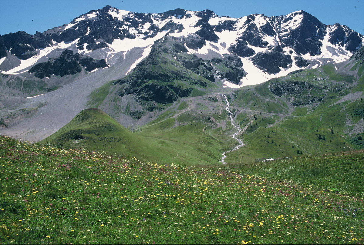 00006 Alpes 2001 07_縮小大小