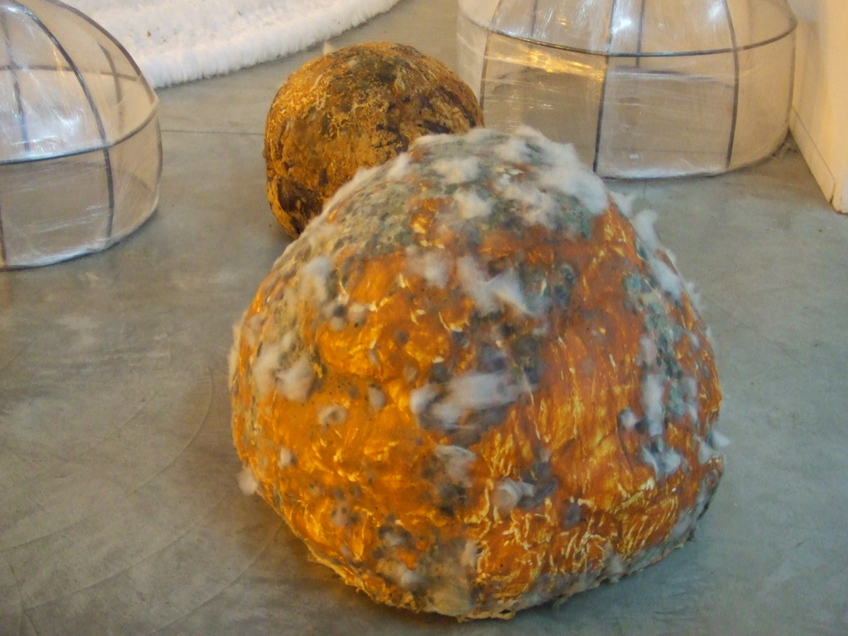 0028-2 Michel Blazy Boules de carottes 1998 Coton puree de carottes _縮小大小