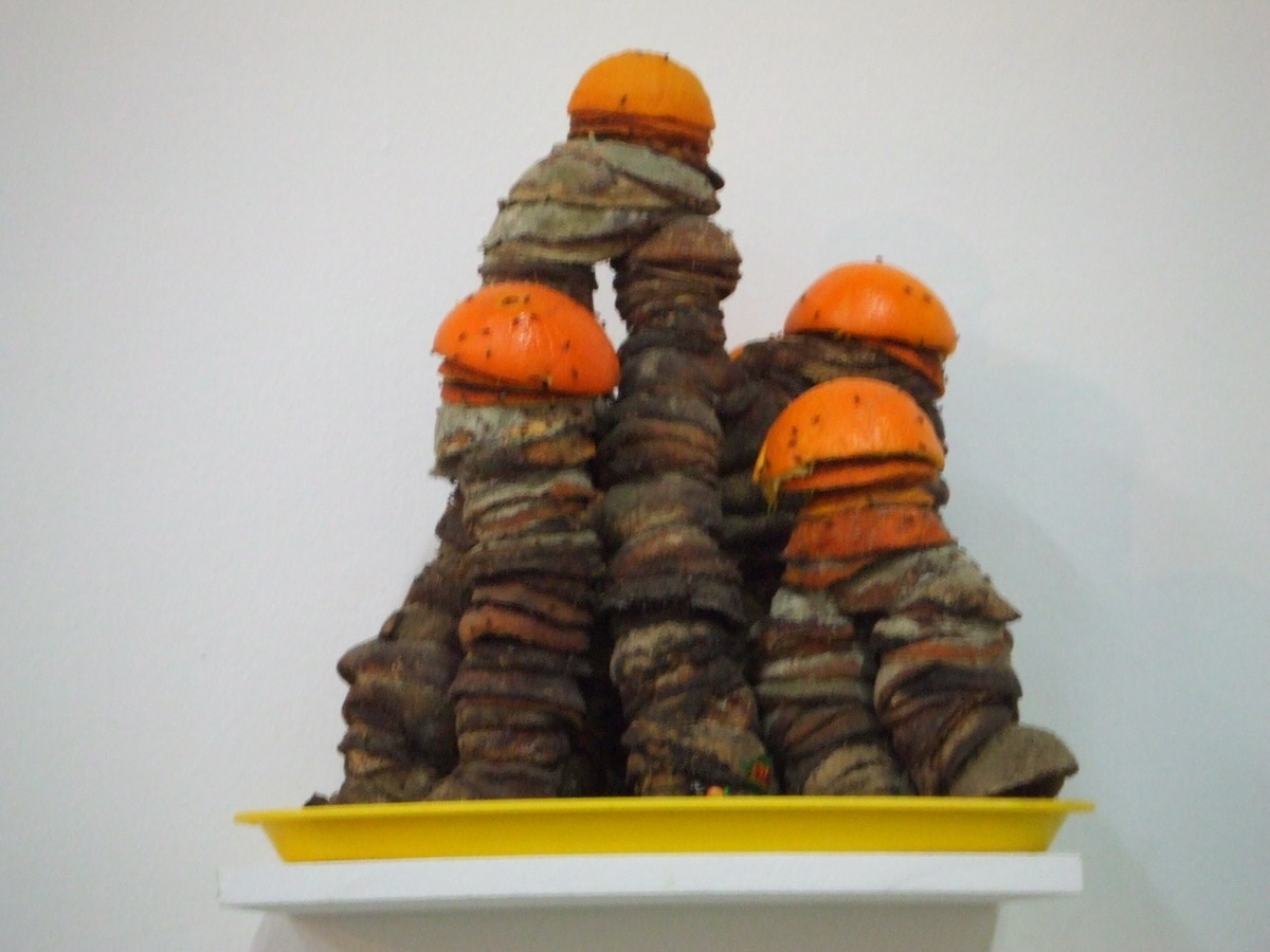 0049 Michel Blazy Sculptcure 2003-07 Ecorces d orange _縮小大小