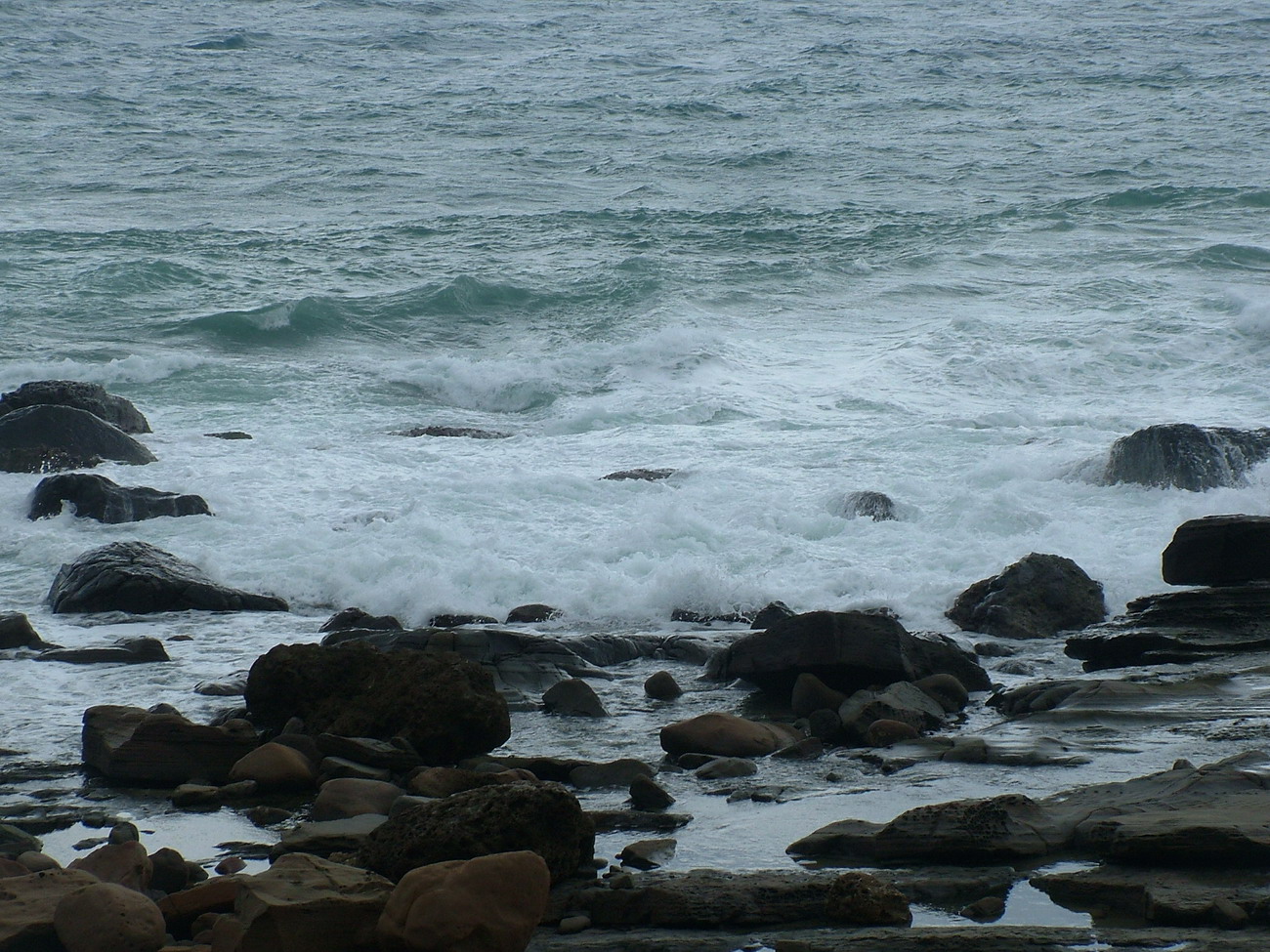 DSCF0007_縮小大小