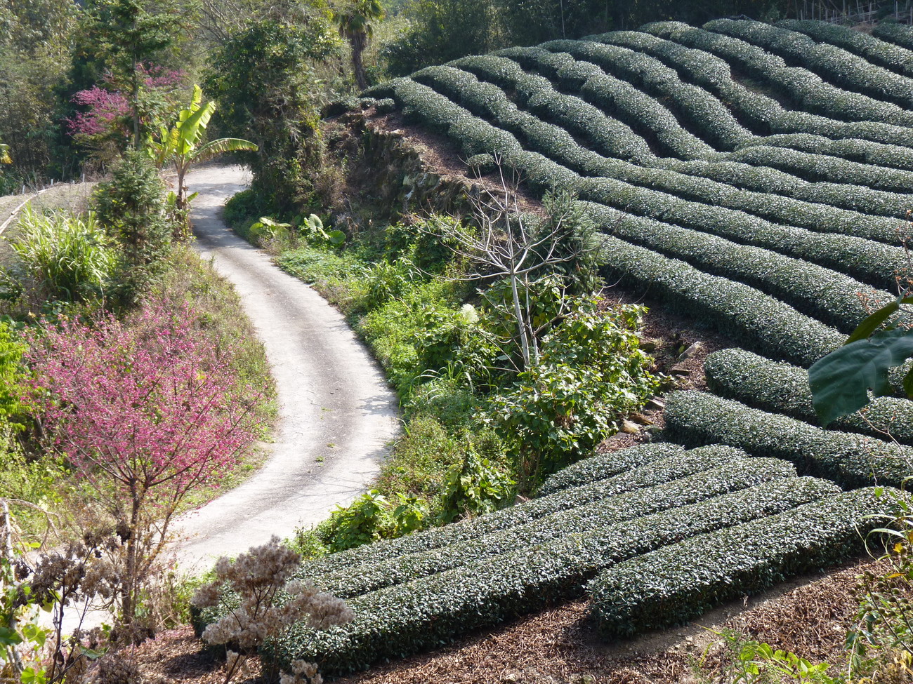 P1040300_縮小大小
