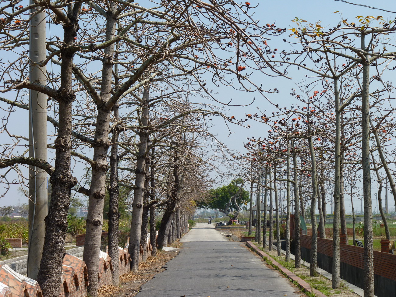P1040681_縮小大小