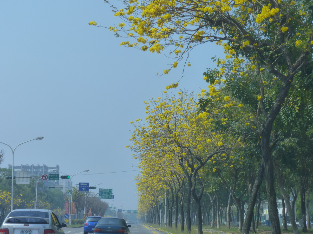 P1040656_縮小大小