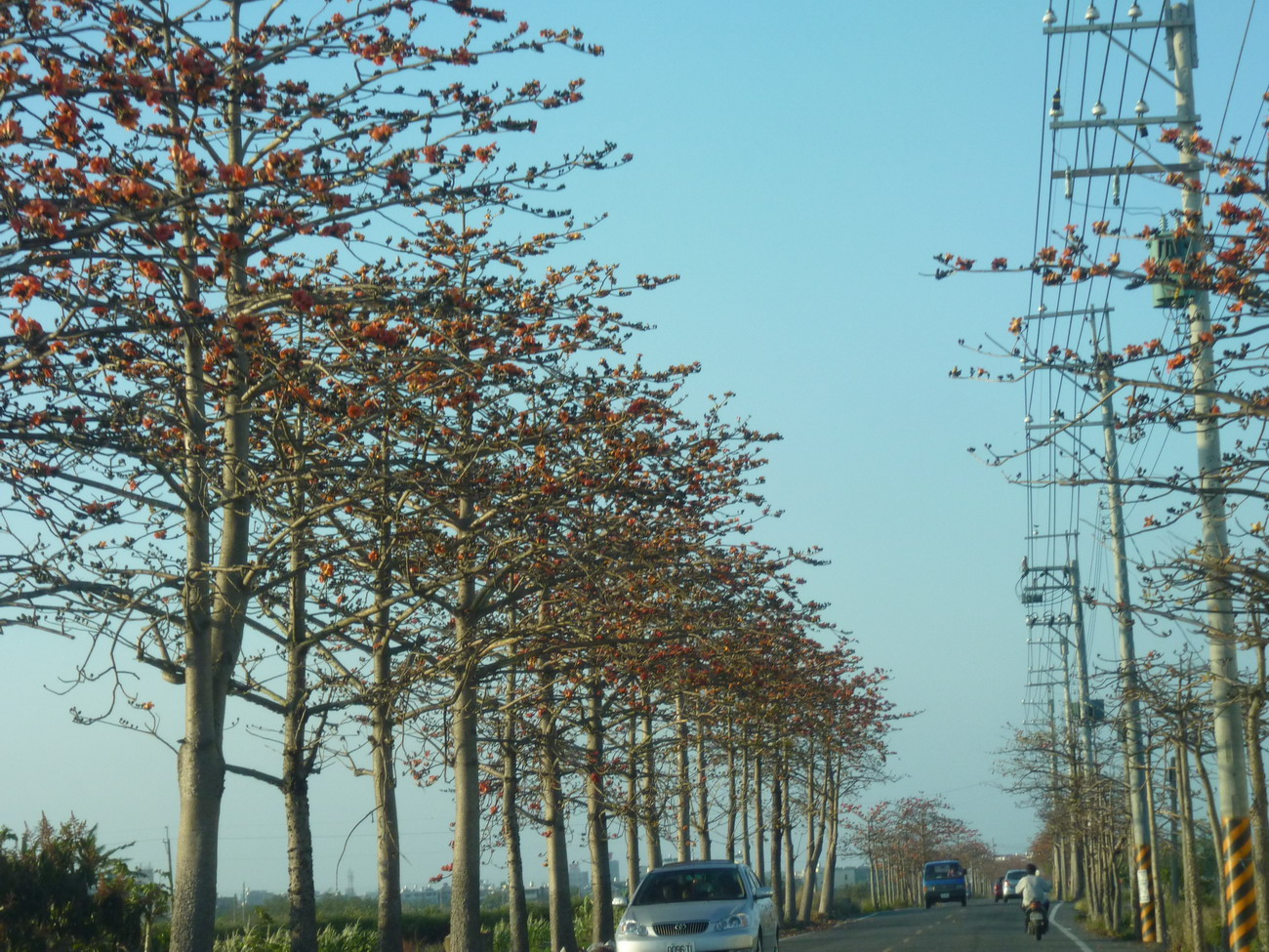 P1040733_縮小大小