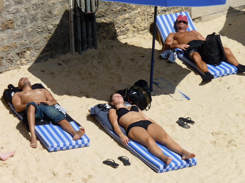 P1070568_resize