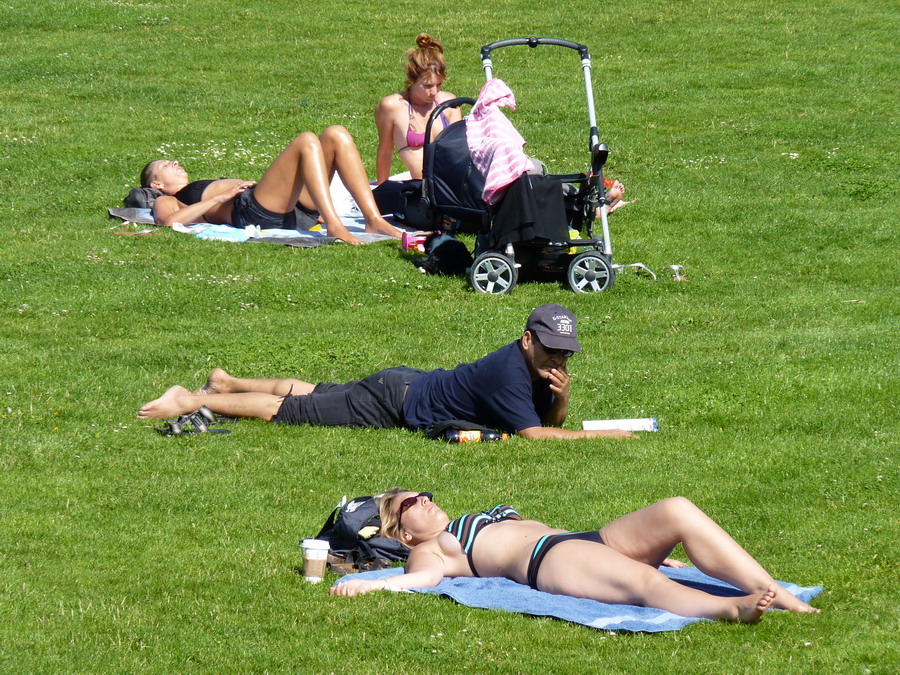 P1070755_resize