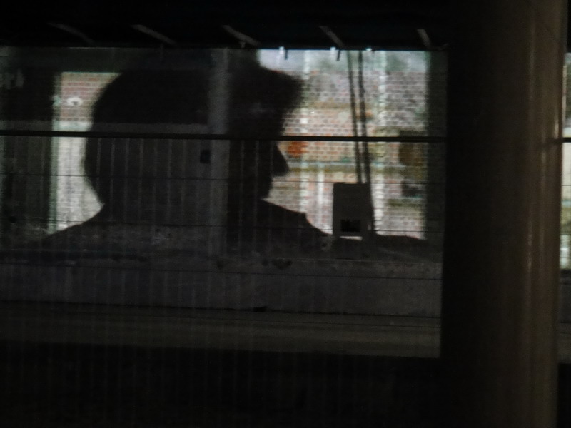 DSC00961_resize