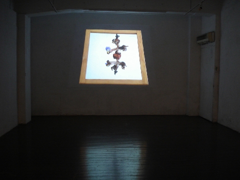 005 覽鏡觀心系列 projecting images on wall with suitable music