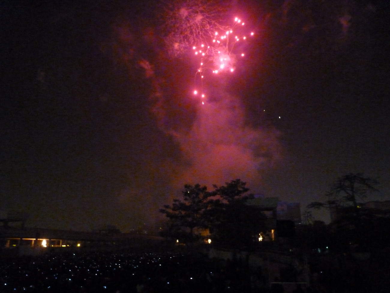 P1120226_縮小大小