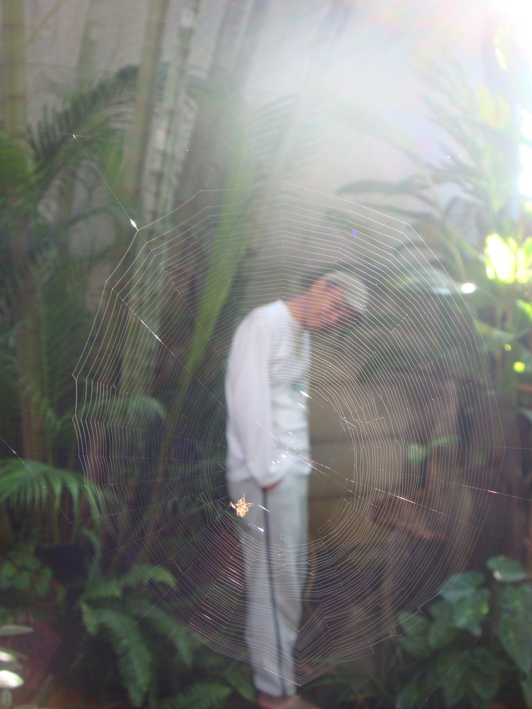 DSC07356_縮小大小