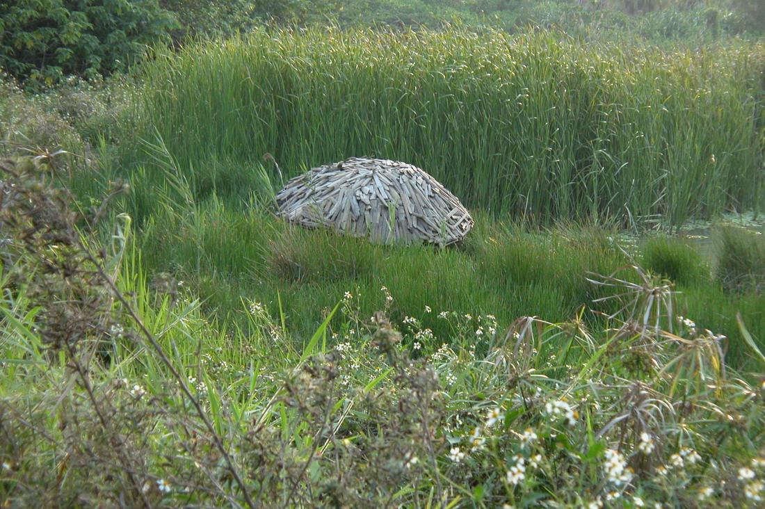 019 2006高美館潮間帶策畫展_縮小大小
