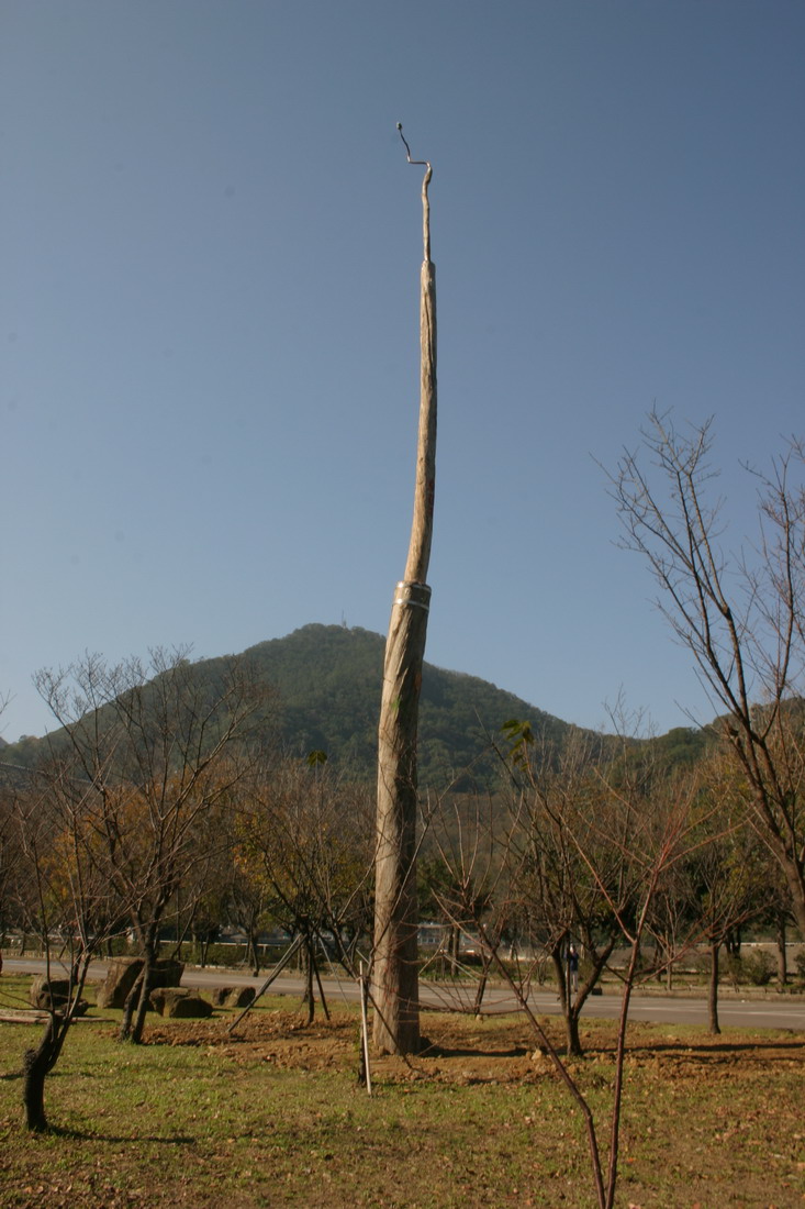 017 2005,石門國際漂流木創作營_縮小大小