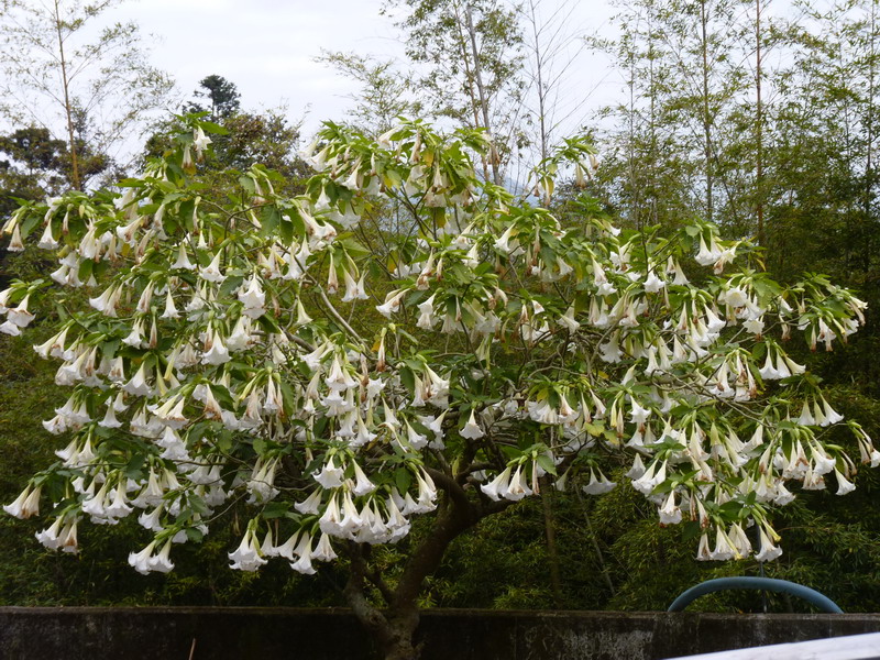 P1110528_resize