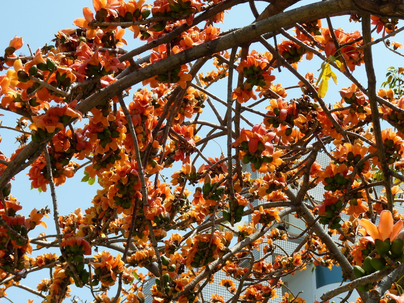 P1130054_resize