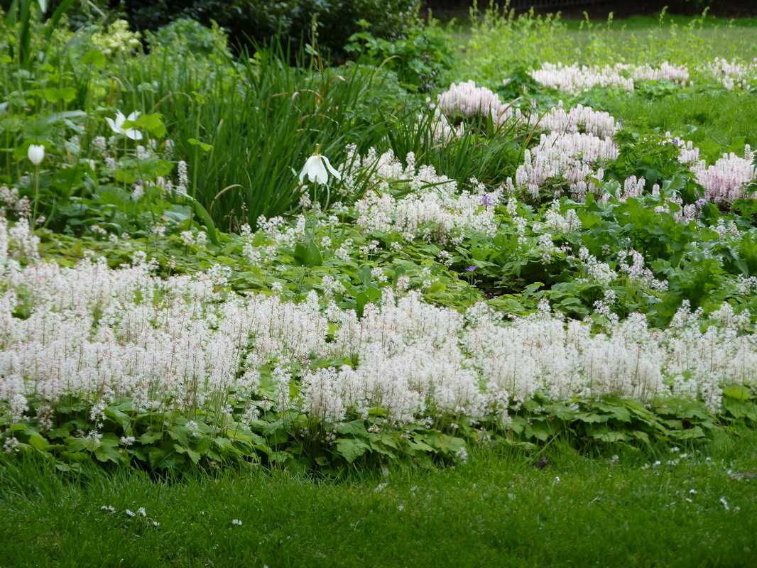 P1140068_resize