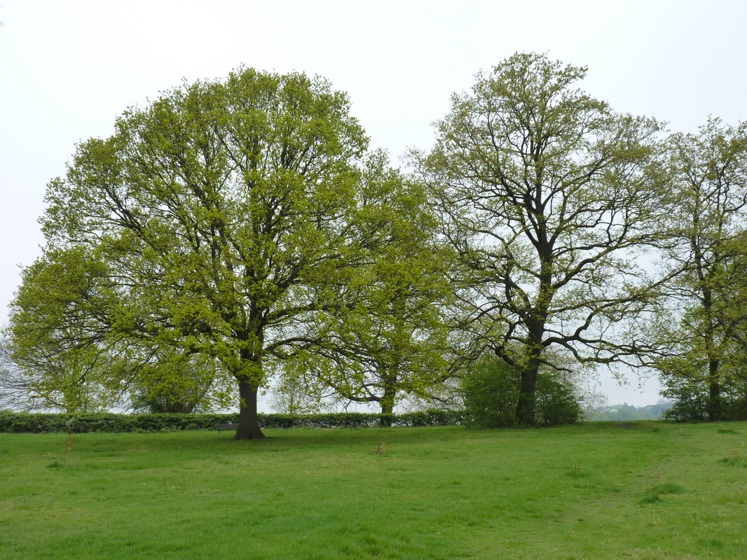 P1140396_resize