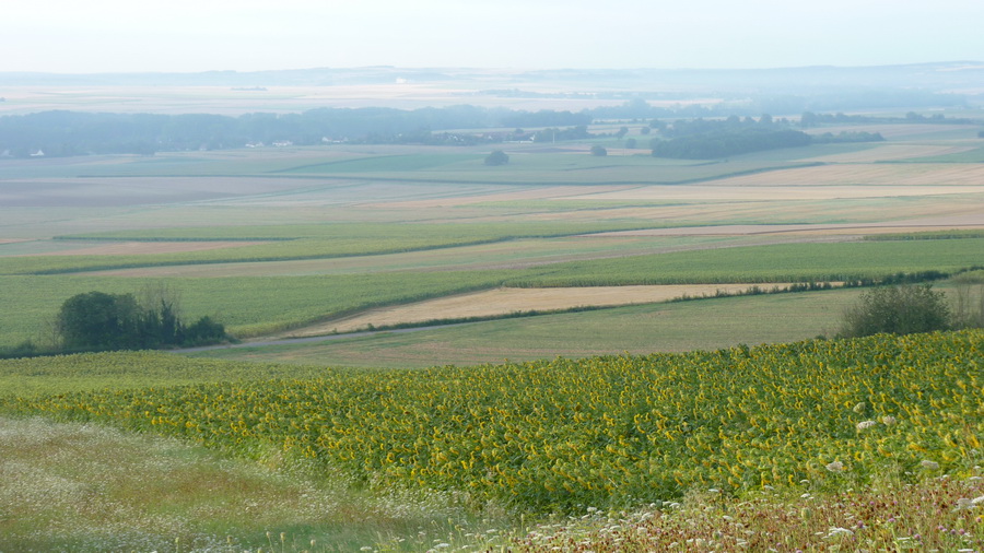 031 Champvalon 2012-08