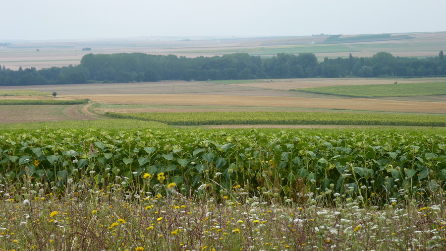 037 Champvalon 2012-08