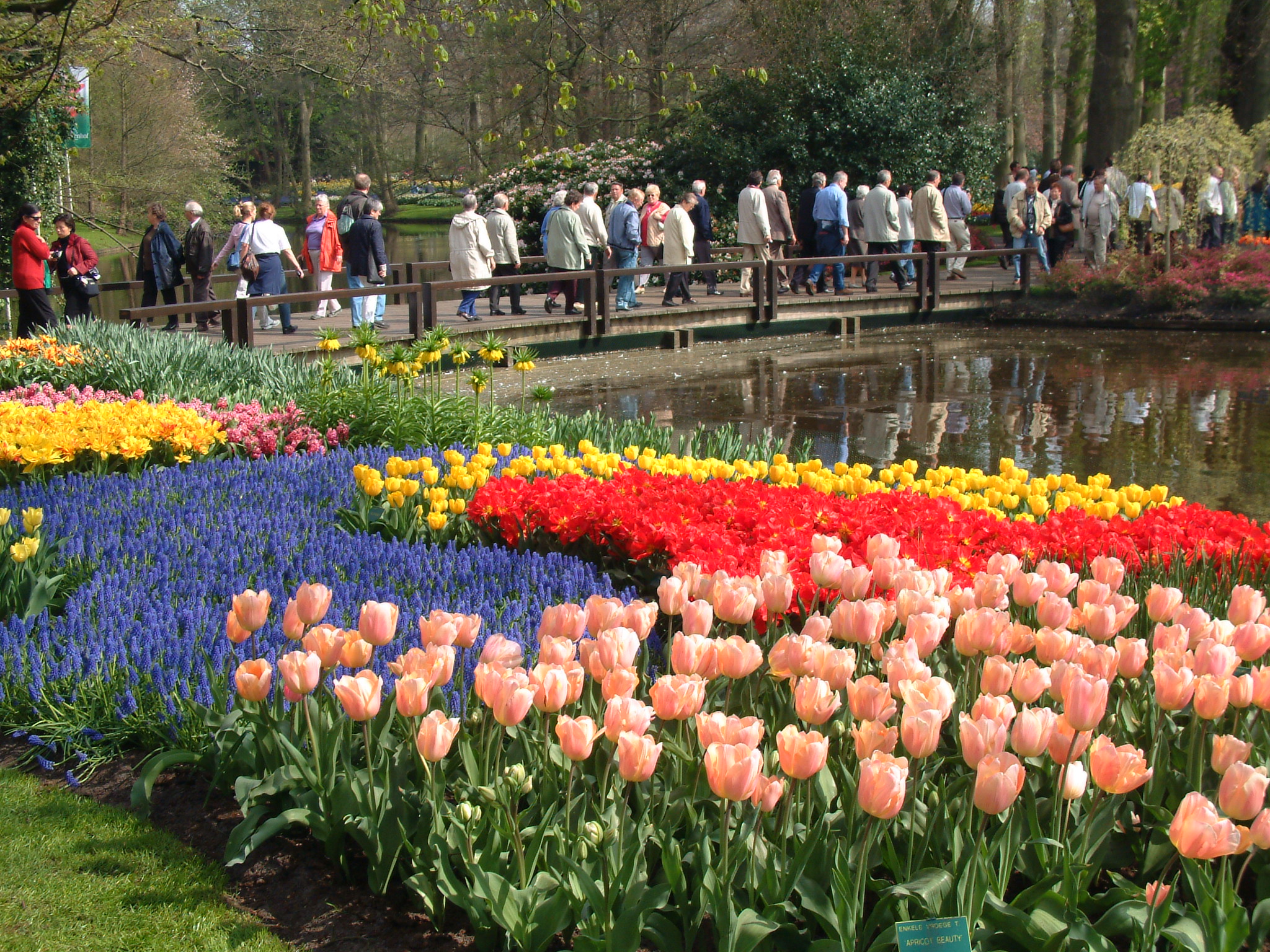 Hollan Parc Keukenhof 010