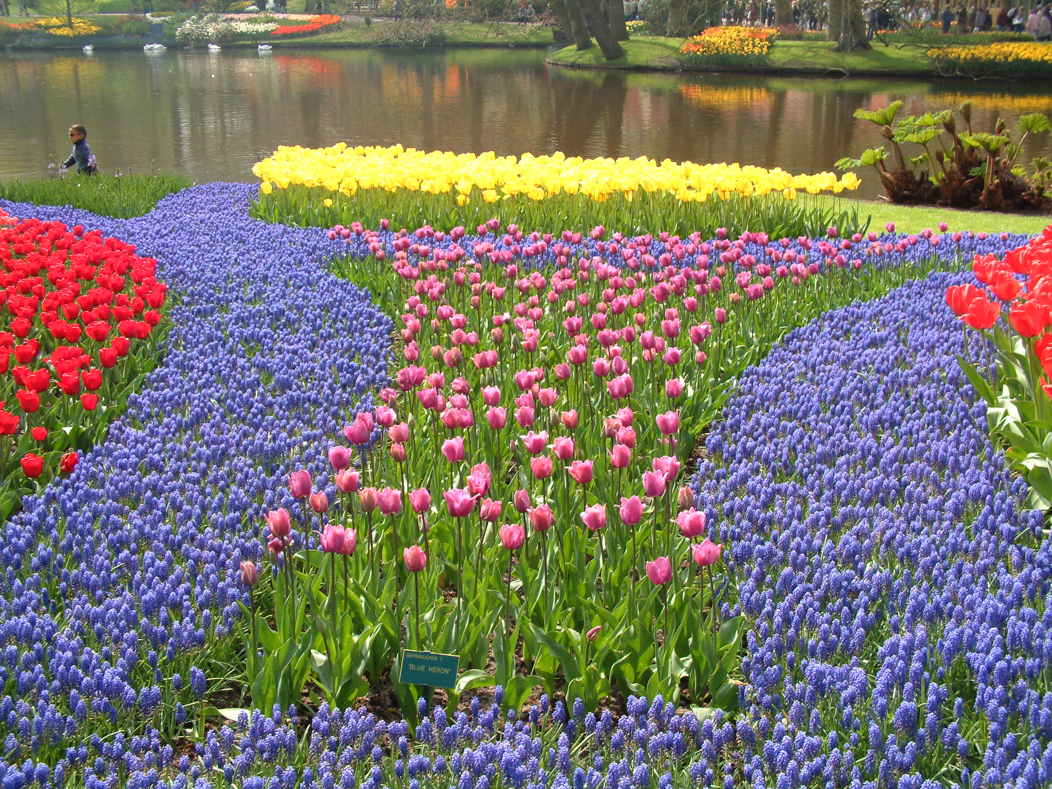 Hollan Parc Keukenhof 015