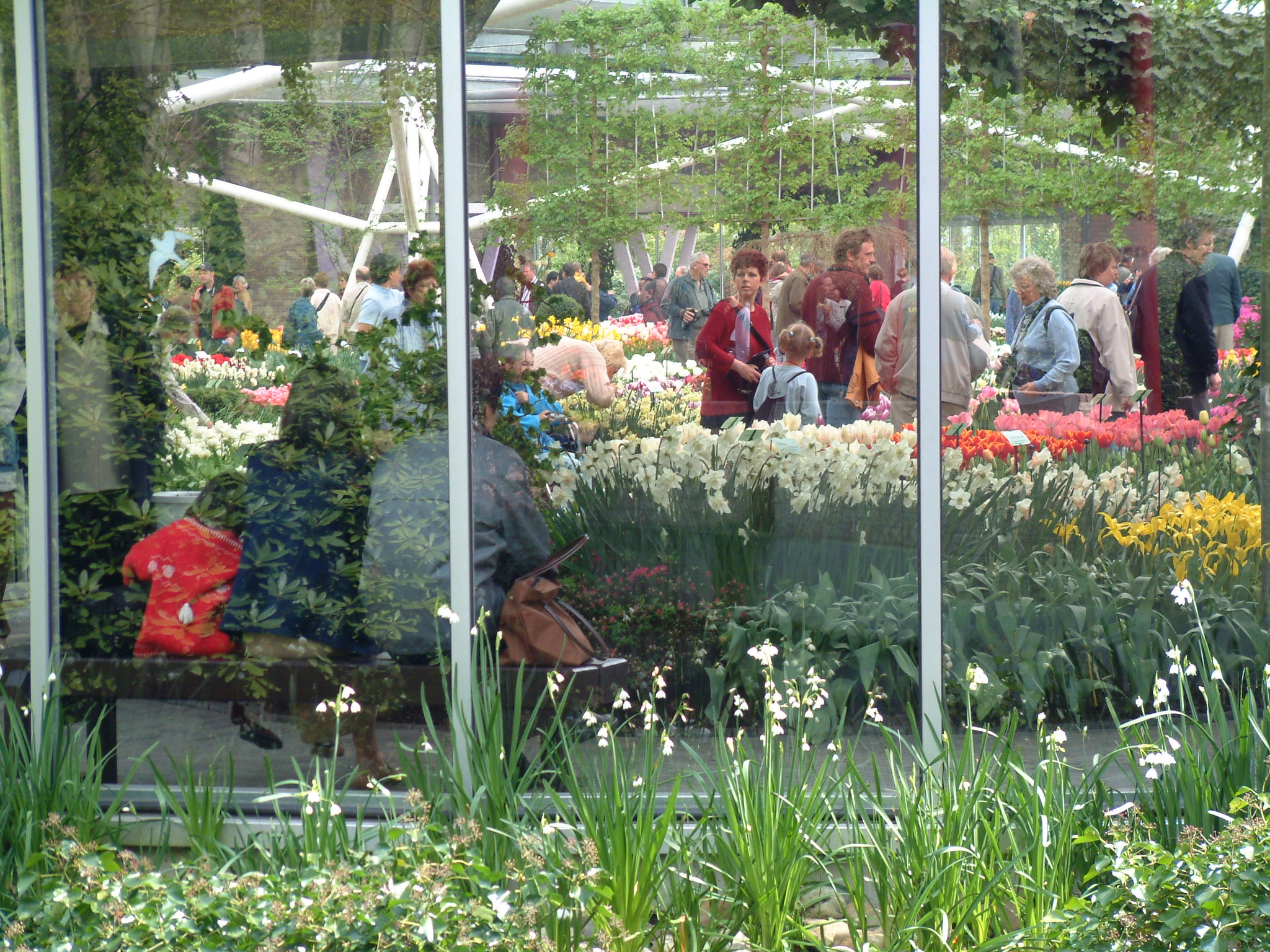Hollan Parc Keukenhof 029