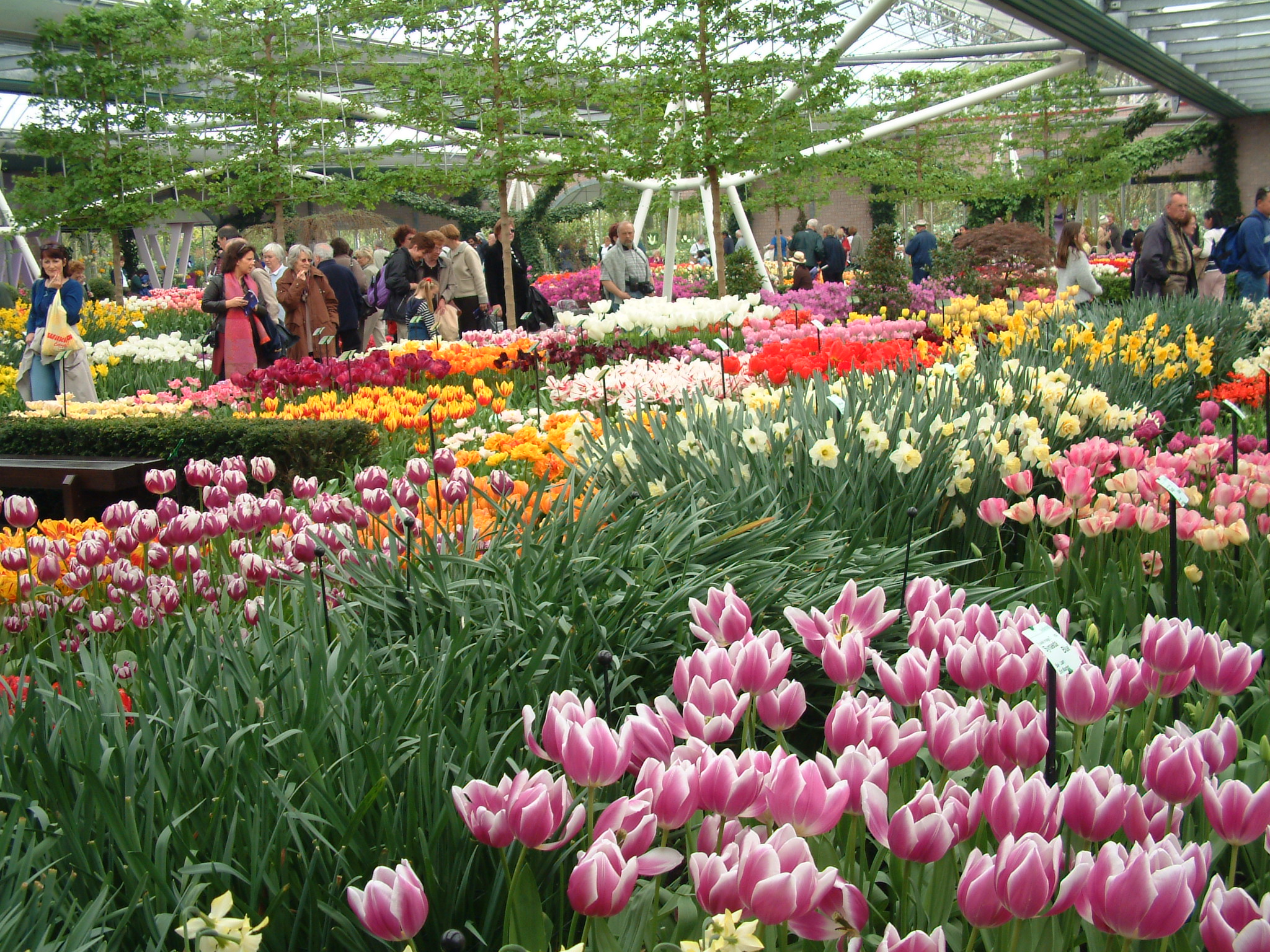 Hollan Parc Keukenhof 030