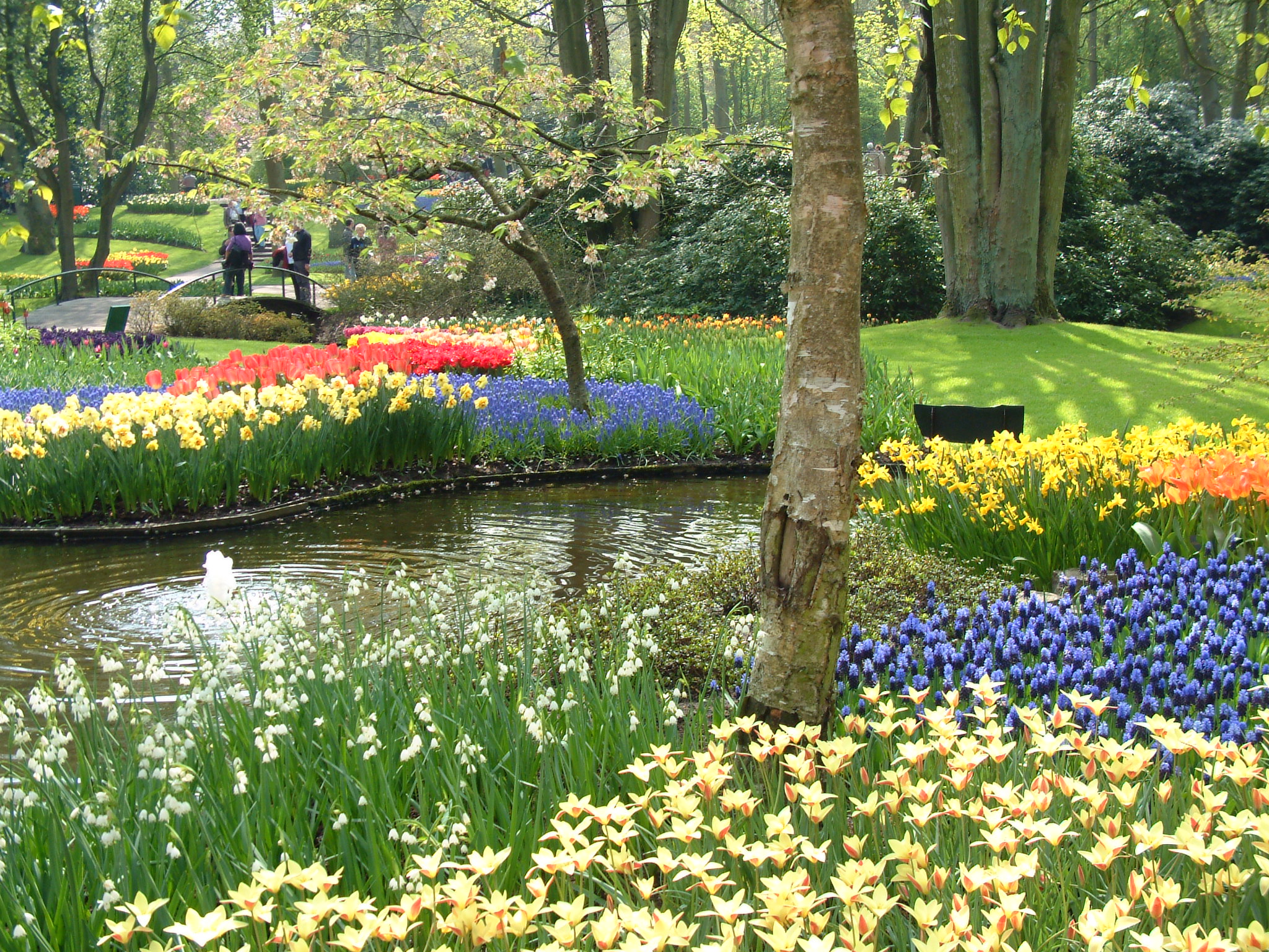 Hollan Parc Keukenhof 043