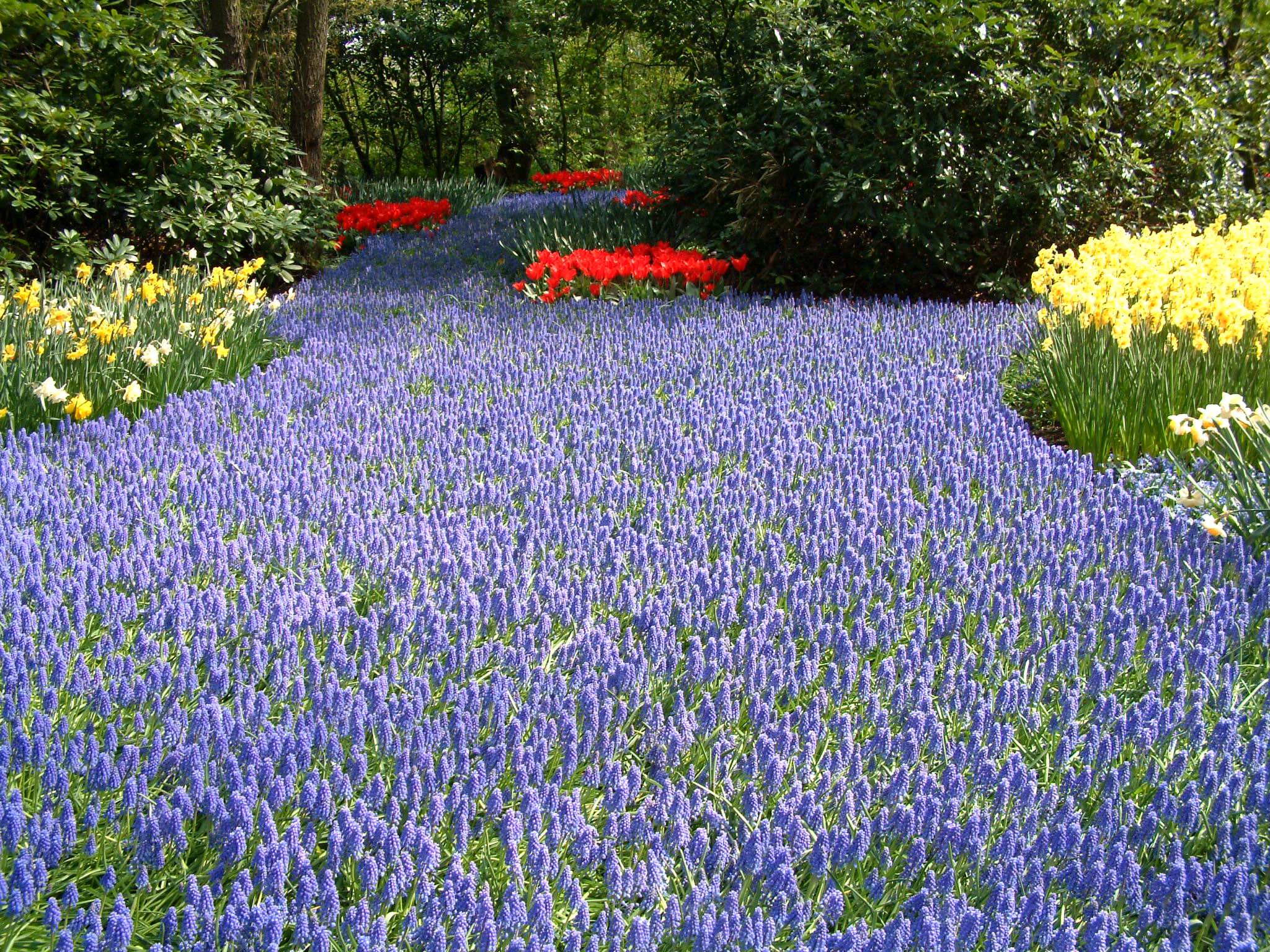 Hollan Parc Keukenhof 048