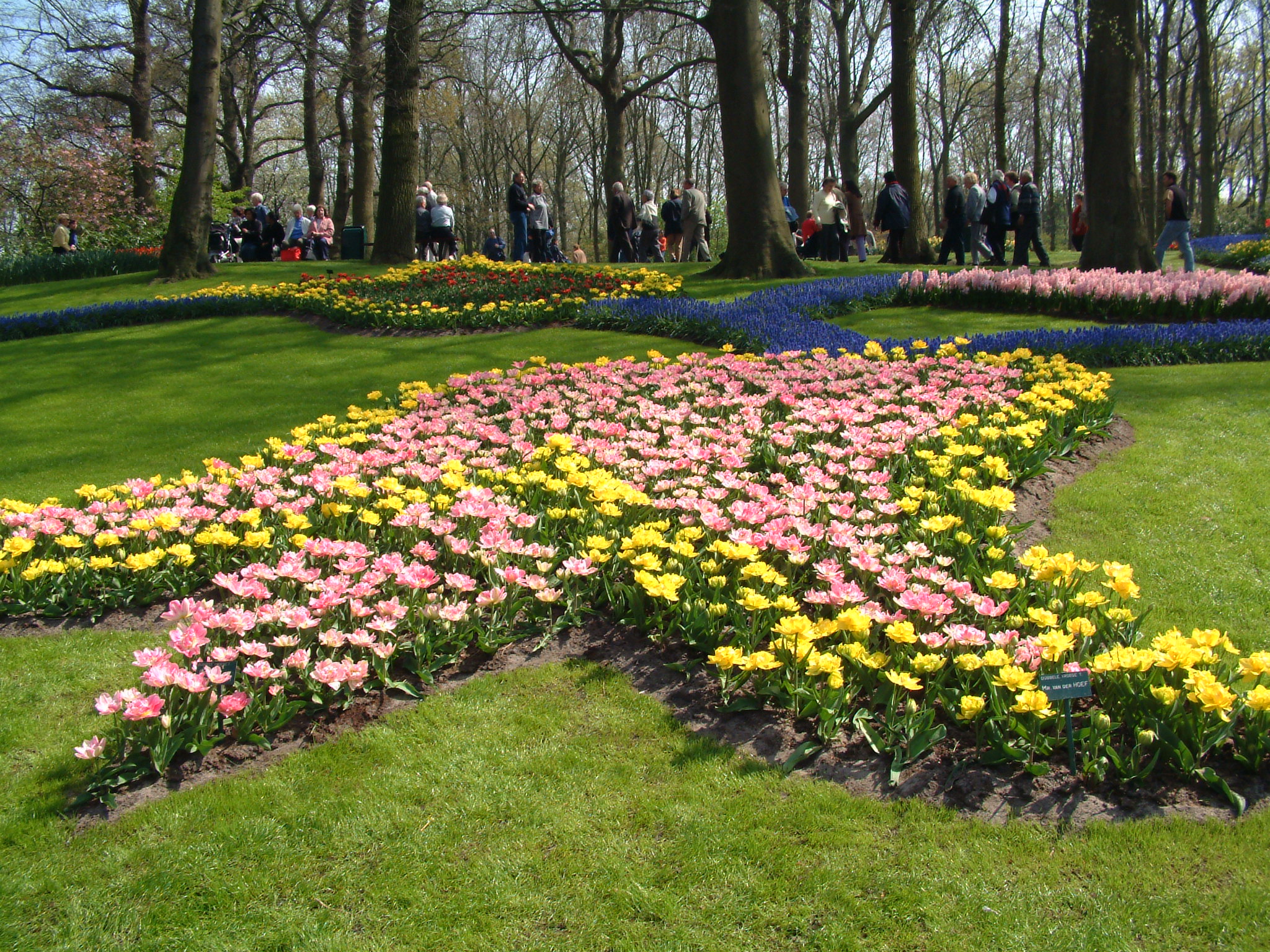 Hollan Parc Keukenhof 060