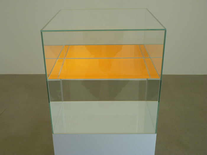 014 Ann Veronica Janssens ne1956 Clémentine Glass, serigraph, paraffin oil, wooden base Glass cube 50 x 50 x 50 cm Base 50 x 50 x 55 cm 2013