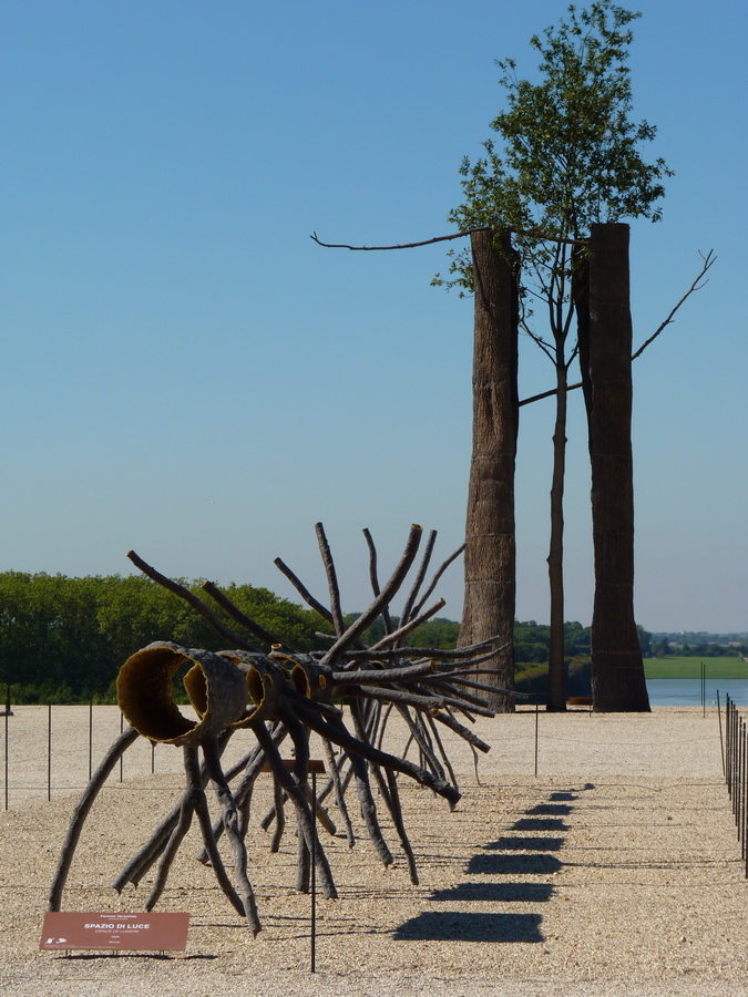 016  Giuseppe Penone entre ecarce et encorce 2003 bronze chene  et espace de lumiere 2008 bronze