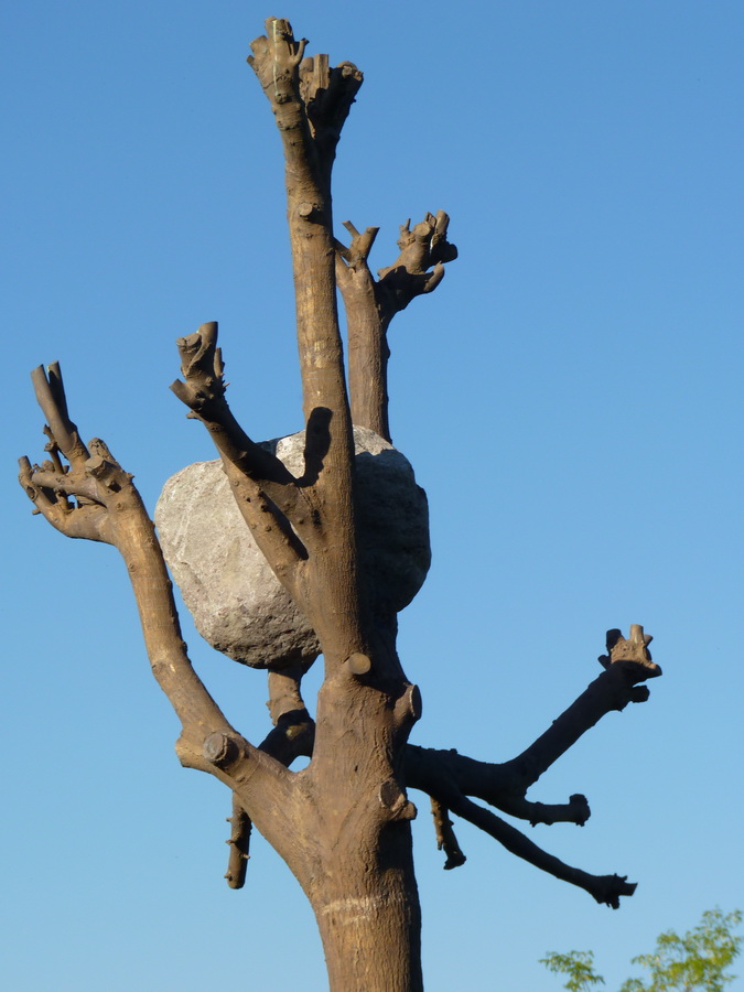 044  Giuseppe Penone idees de pierre 2003 bronze pierres de fleuve