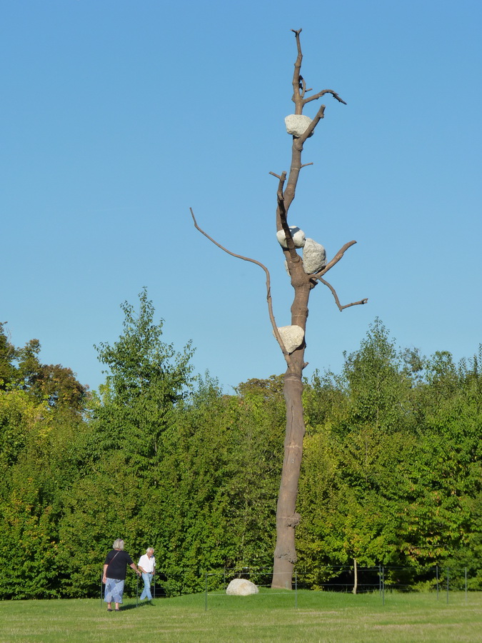 051   Giuseppe Penone  idees de pierre -cerisier 2011bronze pierres de fleuve