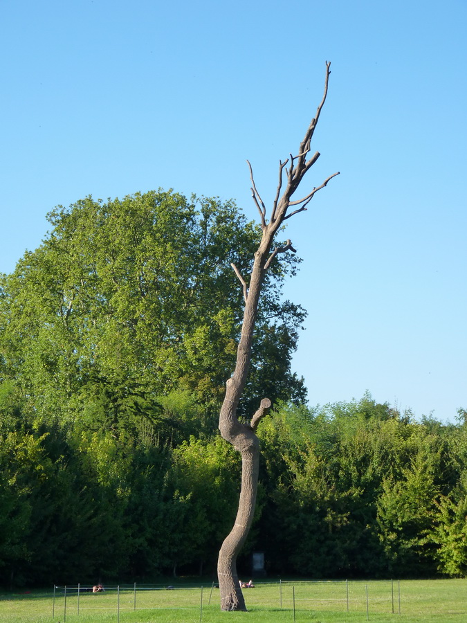 053  Giuseppe Penone equilibre-chene 2010 bronze