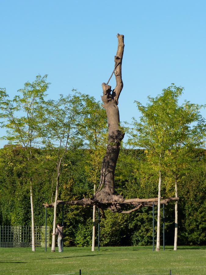 054   Giuseppe Penone   elevation 2011 bronze et abres