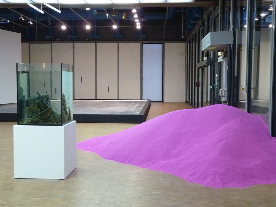 010 Pierre Huyghe made ecosystem 2013