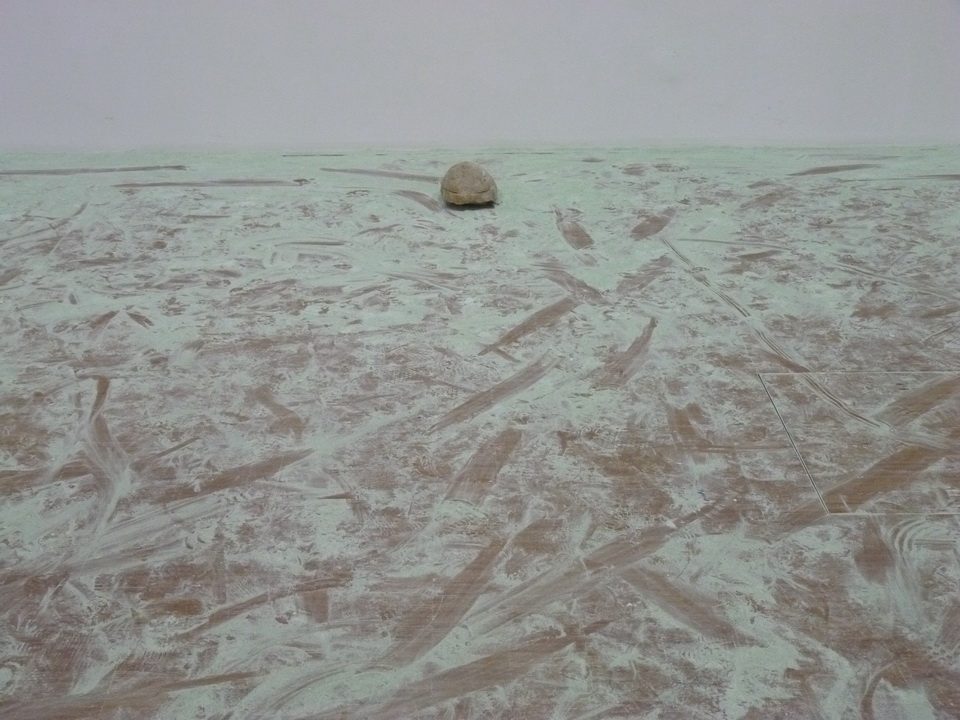 027 Pierre Huyghe shore 2013